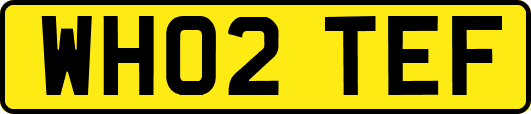 WH02TEF
