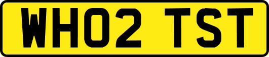 WH02TST
