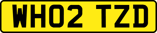 WH02TZD