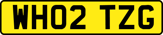 WH02TZG