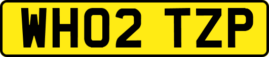 WH02TZP