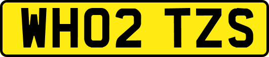 WH02TZS