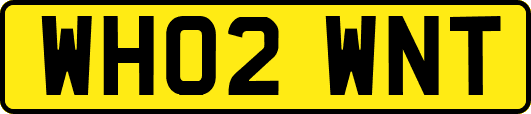 WH02WNT