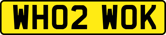 WH02WOK