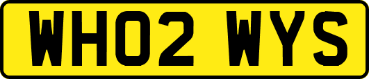 WH02WYS