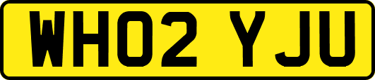 WH02YJU