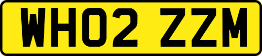 WH02ZZM