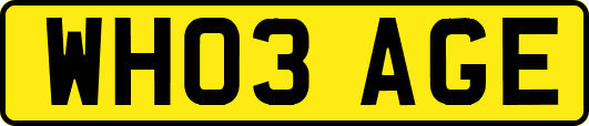 WH03AGE