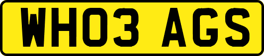 WH03AGS