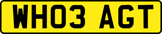 WH03AGT