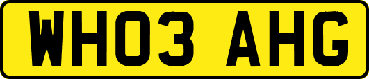 WH03AHG