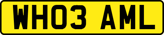 WH03AML