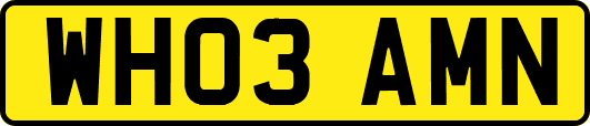 WH03AMN