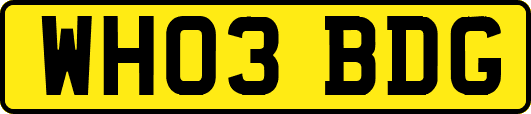WH03BDG