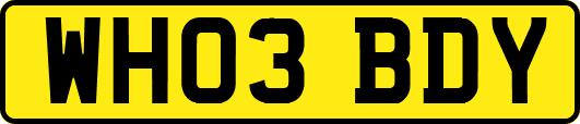 WH03BDY