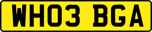 WH03BGA