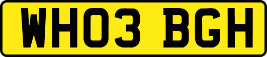 WH03BGH