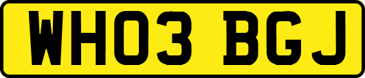 WH03BGJ
