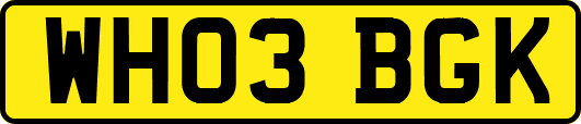 WH03BGK