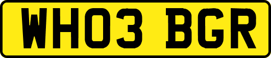 WH03BGR