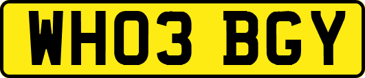 WH03BGY