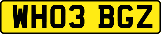 WH03BGZ