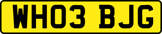 WH03BJG