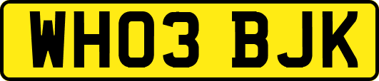 WH03BJK