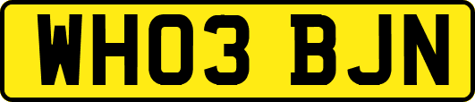WH03BJN