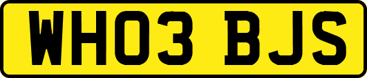 WH03BJS