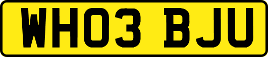WH03BJU