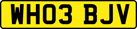 WH03BJV