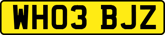 WH03BJZ