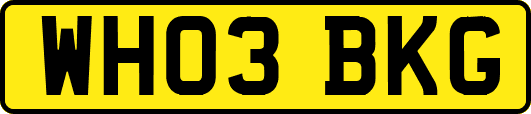 WH03BKG