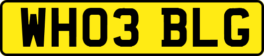 WH03BLG