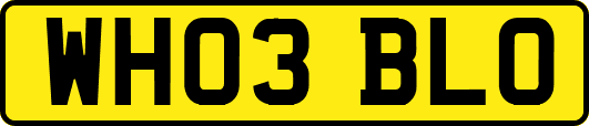 WH03BLO