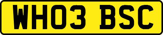 WH03BSC