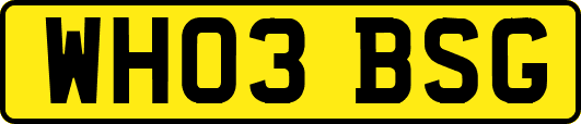 WH03BSG