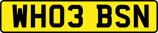 WH03BSN