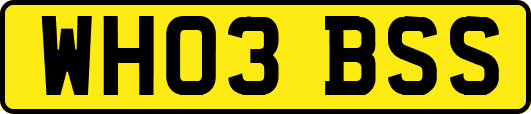 WH03BSS