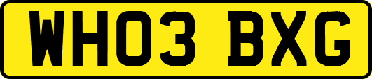 WH03BXG