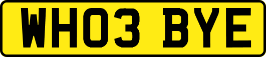 WH03BYE