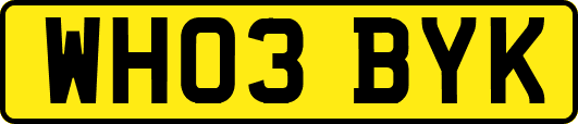 WH03BYK