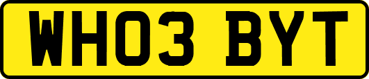 WH03BYT