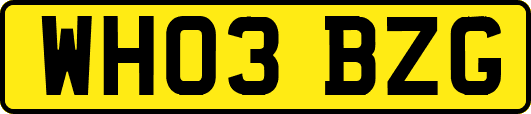 WH03BZG