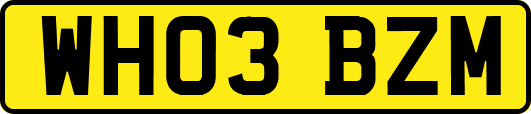 WH03BZM