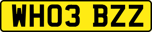 WH03BZZ