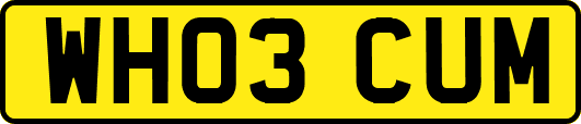 WH03CUM