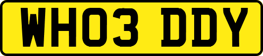 WH03DDY