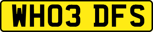 WH03DFS